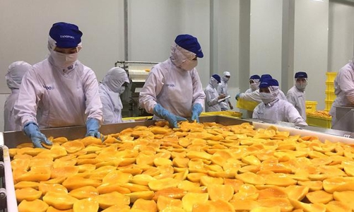 Agricultural exporters face challenge from stricter EU food safety regulations  