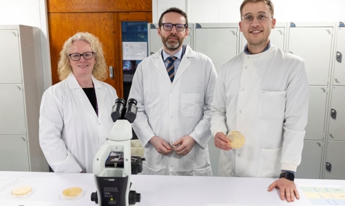 Phát triển kỹ thuật số thúc đẩy nuôi trồng thủy sản bền vững tại Việt Nam