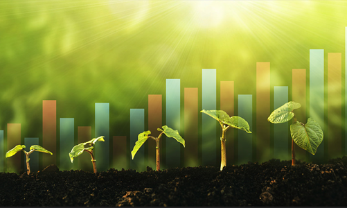 Sáu bài học từ hành trình phát triển tài chính xanh ở Trung Quốc