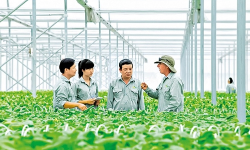 Sẽ có tiêu chí môi trường và xác nhận dự án đầu tư được cấp tín dụng xanh