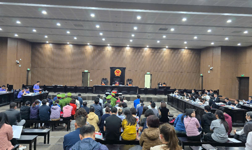 Xét xử vụ mua bán hơn 19.000 hóa đơn khống khiến Nhà nước thiệt hại 743 tỷ đồng