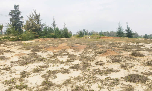 Nhiều dự án bị thu hồi đất do doanh nghiệp chây ỳ nợ thuế