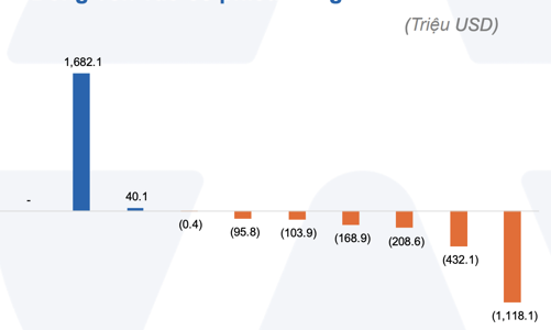 Trái với giới đầu tư kỳ vọng, dòng vốn tiếp tục đổ mạnh vào Mỹ, rút khỏi Việt Nam 