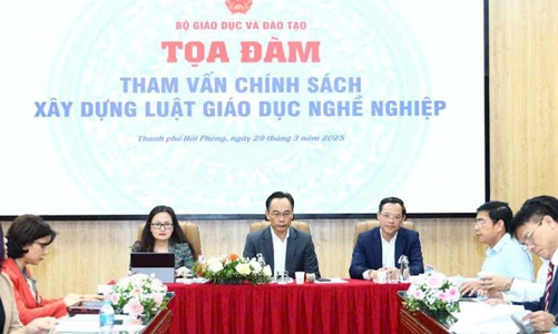 Xây dựng Luật Giáo dục đại học và Luật Giáo dục nghề nghiệp để tháo gỡ bất cập