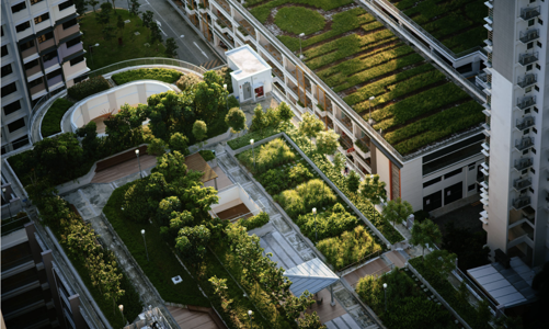 “Xanh hóa” ngôi nhà từ bên trong bằng vật liệu thân thiện môi trường và sức khỏe