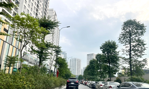 Thủ tướng yêu cầu báo cáo dự án đầu tư gặp vướng mắc và tồn đọng kéo dài trước ngày 10/4