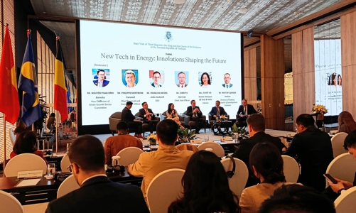 Doanh nghiệp Bỉ mong muốn hợp tác, phát triển năng lượng bền vững với Việt Nam