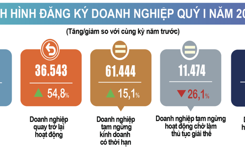 Quý 1/2025: Số doanh nghiệp thành lập mới giảm nhẹ, số doanh nghiệp tái gia nhập thị trường tăng mạnh