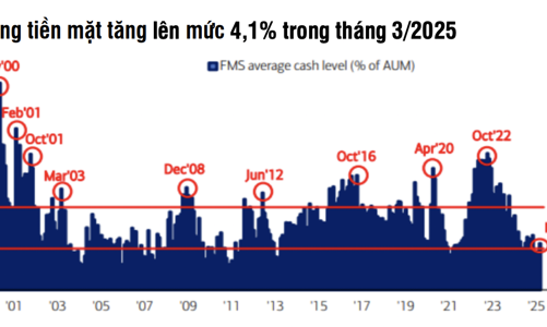Thương chiến khốc liệt, các quỹ đầu tư thế giới tăng nắm tiền mặt