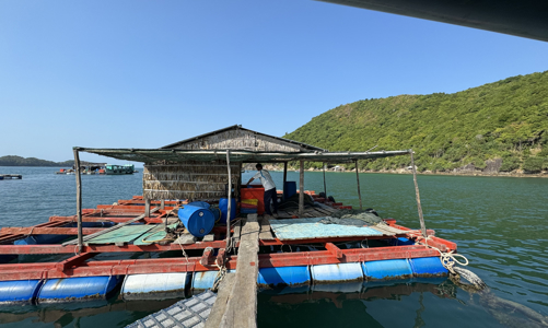 Khó thu hẹp mạng lưới ngân hàng ở nông thôn và miền núi