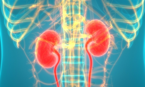 Thay đổi lối sống để phòng ngừa suy thận mạn