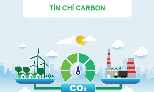 Sẽ có sổ tay hướng dẫn doanh nghiệp Việt Nam tham gia thị trường carbon