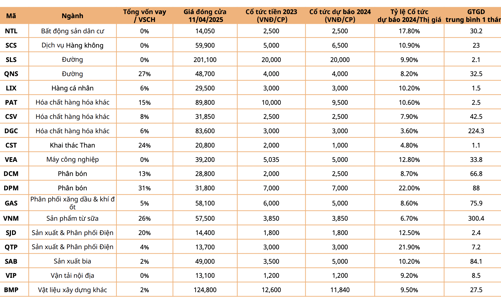 Điểm danh hàng loạt cổ phiếu phòng thủ cổ tức cao, có mã gấp 4 lần lãi suất ngân hàng 