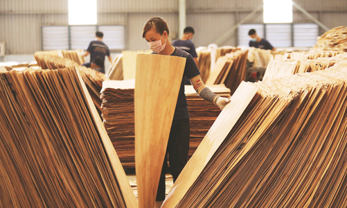 Chuyển dịch nhập khẩu gỗ sang các nguồn cung hợp pháp