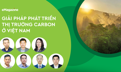 Giải pháp phát triển thị trường carbon ở Việt Nam