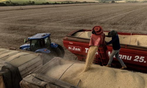 Thuế quan Mỹ, vận may của nông dân Brazil