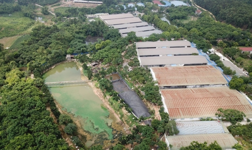 Đồng Nai phạt nghiêm doanh nghiệp vi phạm về bảo vệ môi trường