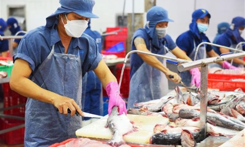 Thời điểm để các doanh nghiệp xuất khẩu thuỷ sản tái cấu trúc thị trường