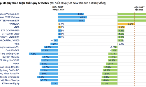 Thuế đối ứng bất ngờ đánh bay sạch thành quả, 57 quỹ đầu tư đua báo lỗ  
