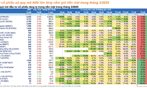 Thị trường khó lường, gần 20 quỹ cổ phiếu 