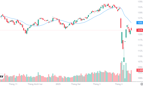Xu thế dòng tiền: Nhịp kiểm định đáy vẫn chưa kết thúc?