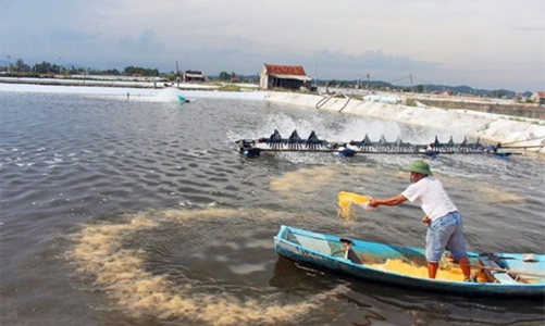 Xây dựng hệ thống quản lý môi trường liên thông toàn diện