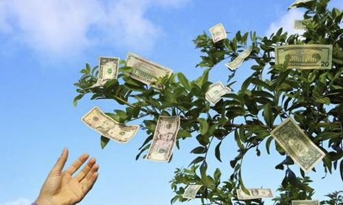 Điểm danh 6 cổ phiếu lành mạnh tài chính, cổ tức cao gấp đôi lãi suất ngân hàng 