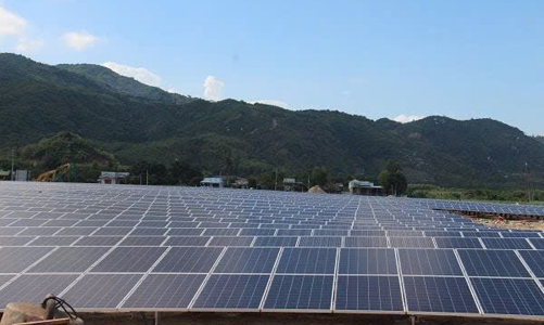 Vụ dự án điện mặt trời: Viện kiểm sát đề nghị Tòa án buộc 3 doanh nghiệp phải bồi thường cho EVN 1.252 tỷ đồng 