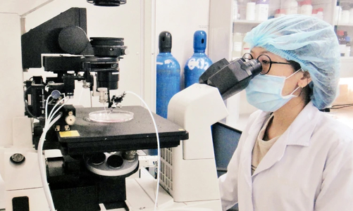 Sinh viên ngành STEM sắp được vay vốn dưới 500 triệu không cần đảm bảo