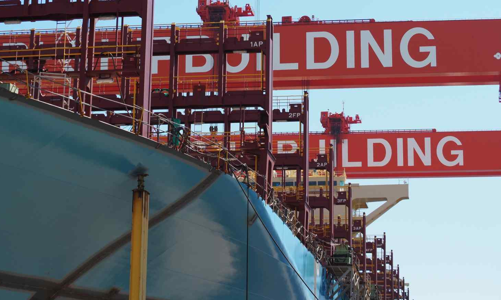 Nhật Bản tính dùng 