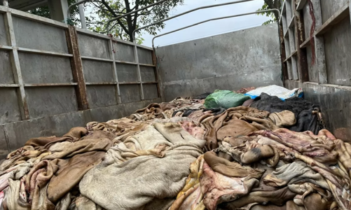 Phát hiện gần 5 tấn thực phẩm bẩn