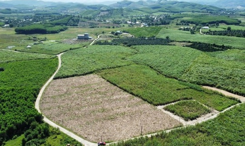 Xây dựng kế hoạch điều tra, đánh giá đất giai đoạn 2026-2030