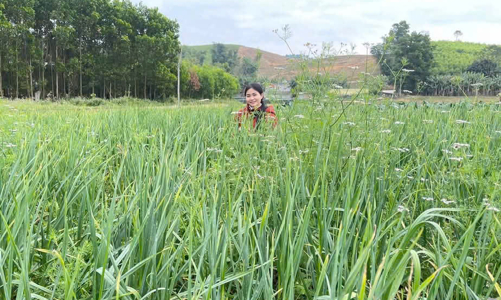 Cô gái bản Thổ bỏ phố về rừng phủ xanh đồi trọc, phát triển nông nghiệp sạch