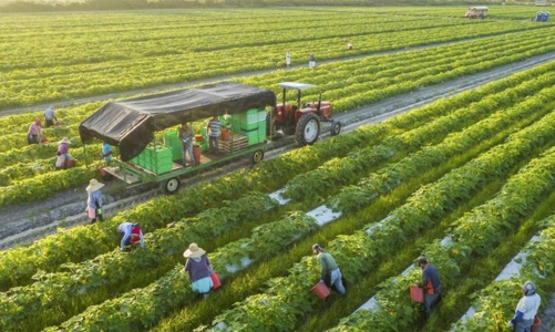 Australia hỗ trợ 2 triệu đô la Úc cho các giải pháp sáng tạo ứng phó với biến đổi khí hậu trong ngành nông nghiệp Việt Nam