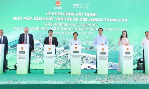 Construction of $114.9m-bamboo processing plant starts in Thanh Hoa