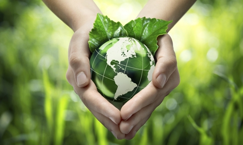 Chuyển đổi xanh không còn là “cuộc chơi” của riêng các 