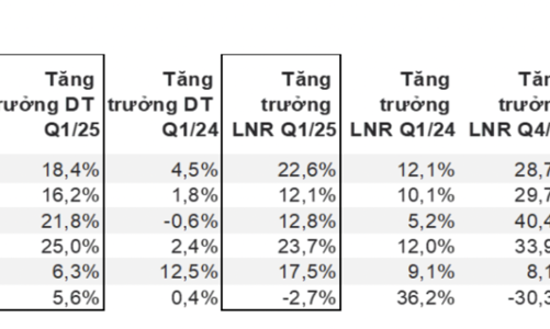 Toàn cảnh bức tranh kinh doanh quý 1/2025 của gần 1.000 doanh nghiệp niêm yết