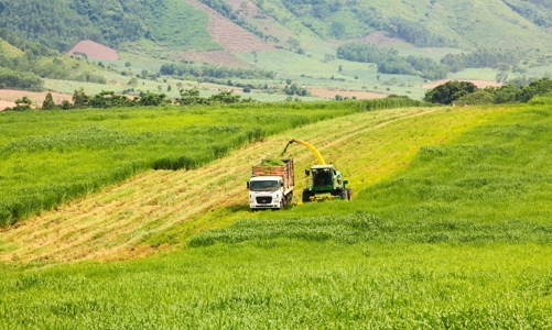 Kinh tế tuần hoàn và năng lượng sạch là trụ cột trong kế hoạch xanh hóa tại Nghệ An