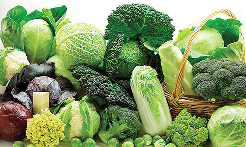 Cách mạng thực phẩm xanh từ thói quen tái chế