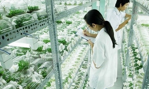 Hà Nội xây khu công nghệ cao sinh học tại quận Bắc Từ Liêm