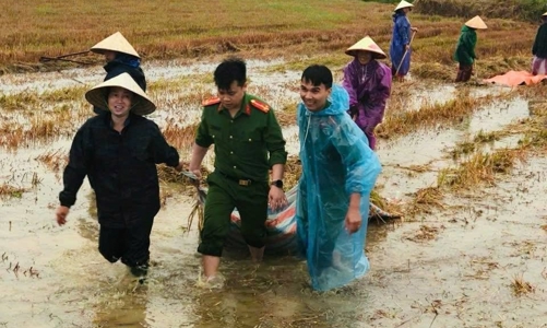 Công an, bộ đội giúp dân thu hoạch lúa sau mưa lũ ở Hà Tĩnh