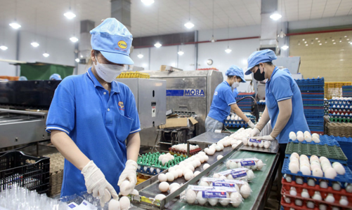 Thủ tục đầu tư rối rắm đang cản trở dòng vốn vào nền kinh tế