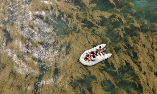 Ngành du lịch giới thiệu nhiều trải nghiệm hè đặc biệt