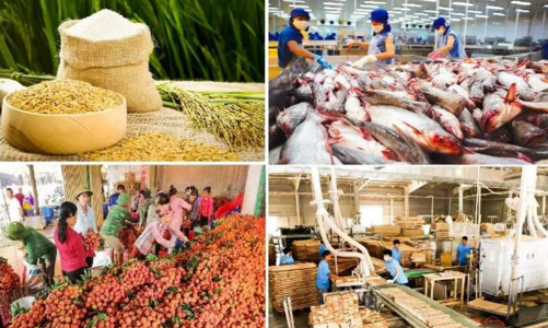 Thủ tướng yêu cầu thực hiện các giải pháp tiêu thụ và xuất khẩu nông sản