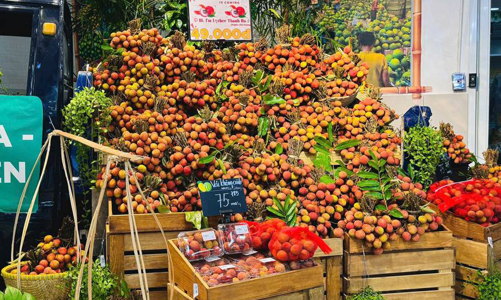 Vải thiều miền Bắc sẽ “nhuộm đỏ” hệ thống siêu thị