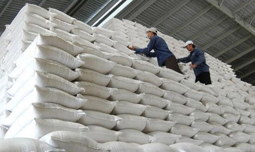 VCCI: Quy định Dự thảo về kinh doanh xuất khẩu gạo còn mang tư duy “không quản được thì cấm”