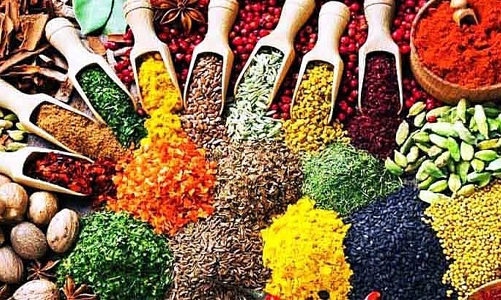 Tăng cường kiểm soát nghiêm ngặt chất lượng thuốc ngay từ nguyên liệu đầu vào