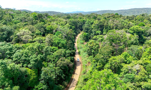 Thanh Hóa phân bổ hơn 117 tỷ đồng từ nguồn thu giảm phát thải carbon tới các chủ rừng