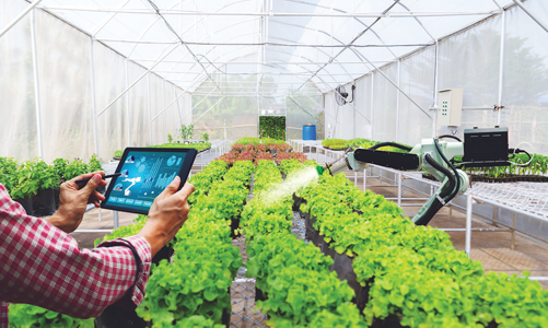 TP.HCM phát động cuộc thi Khởi nghiệp đổi mới sáng tạo trong lĩnh vực nông nghiệp công nghệ cao