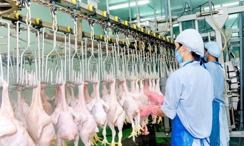 Singapore mong muốn mở rộng thêm các mặt hàng thực phẩm nhập khẩu từ Việt Nam